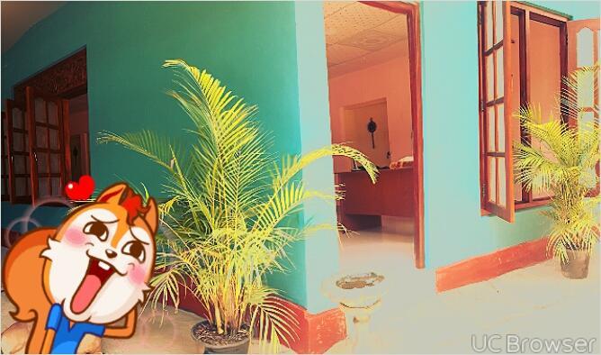 Apple Sara Home Stay Kandy Esterno foto