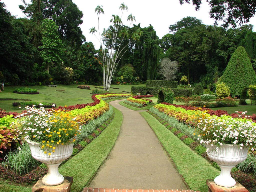 Apple Sara Home Stay Kandy Esterno foto